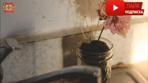 Прекратите выбрасывать старую кофейную гущу! Вот 15 гениальных способов повторного использования!