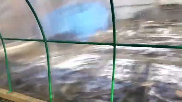 Сборка теплицы арочной усиленной, 3х6 метров. 23.10.16.