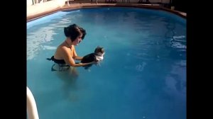 ПРИКОЛЫ С КОТАМИ|КОТЫ БОЯТСЯ ВОДЫ
