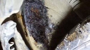 Никогда не покупайте машины из Питера и Москвы, показываю почему