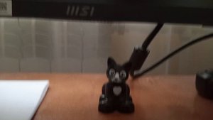 кот живот (ремикс)