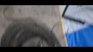 Налим на реке Неве