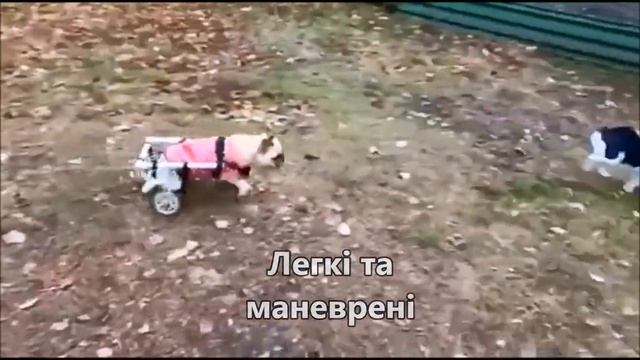 Коляски для собак. DOG WHEELCHAIR UZHOROD смотреть онлайн
