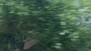 дорога с поселка Дубки после смотровой на Сулакский каньон