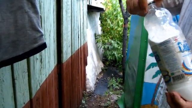 ЖЕЛТЕЮТ ЛИСТЬЯ на ОГУРЦАХ это ПЕРОНОСПОРОЗ, как бороться
