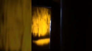 Охота на бобра ночью с псп прибор ночного видения