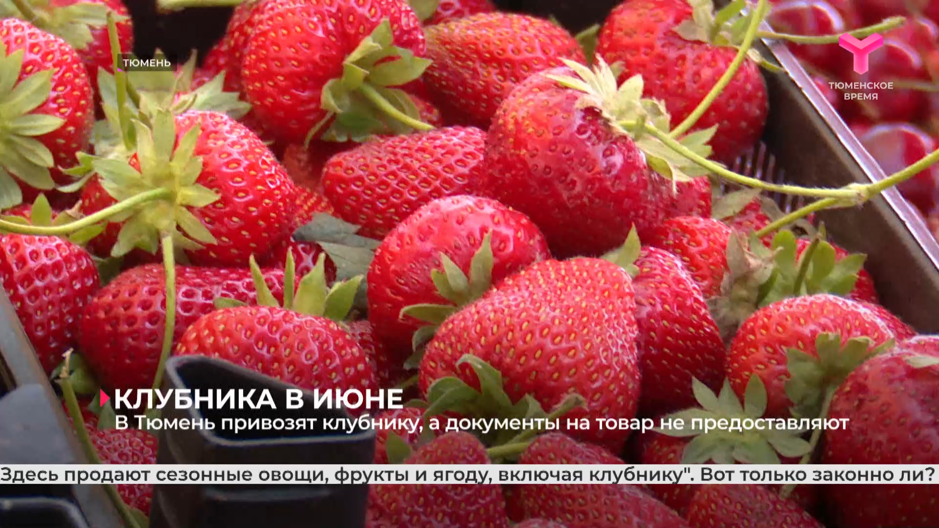 В Тюмень привозят клубнику, а документы на товар не предоставляют