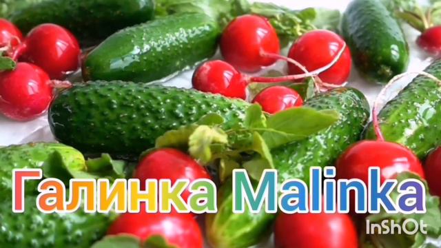 Ольга Уралочка live /Мартышка и очки /2 коридора, а туда же /Обзор Влогов /Уралочка и Сафар /
