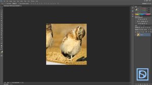 Photoshop для начинающих #17 (кадрирование crop tool)