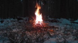 Новогодний костер в зимнем лесу, костер на снегу