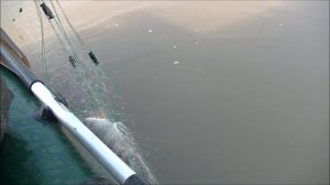 Рыбалка сетями на линя, щуку, карася, окуня ))). Зарыбляем водоем.