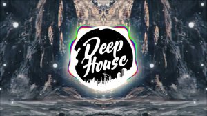 Toly Braun - What You Want (Vicent Ballester Remix)