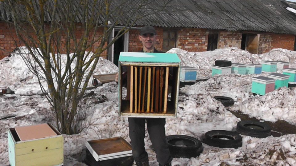 Выставка пчёл,ревизия, замена дна одновременно. 3 в 1. смотреть онлайн