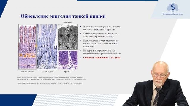 Эпителиальные ткани. Часть 1