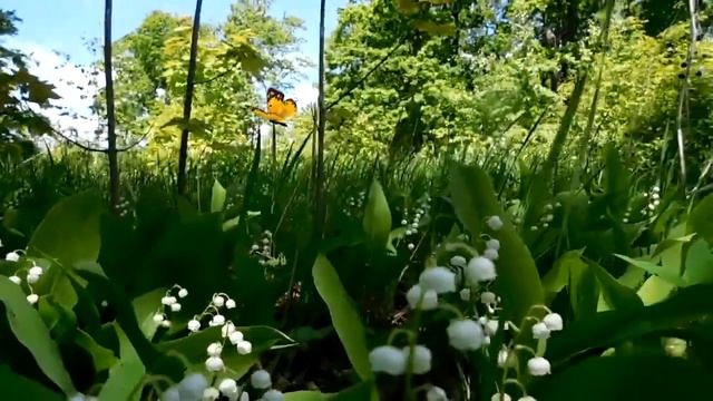 Мы такими счастливыми были! смотреть онлайн