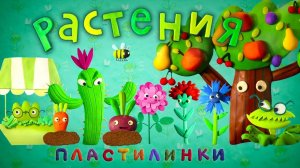 Пластилинки - Растения (43-52) - Все серии подряд