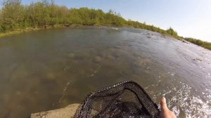 Yamaga Blanks Blue Current TZ BLC-65/Tz. Fishing with a friend. Trout fishing in Carpathians