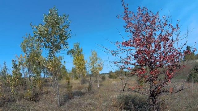 Тайм-лапс в логу AC  Robin ZED2 смотреть онлайн