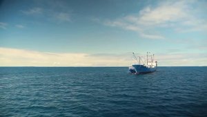 10 САМЫХ БЫСТРЫХ РЫБ В МИРЕ