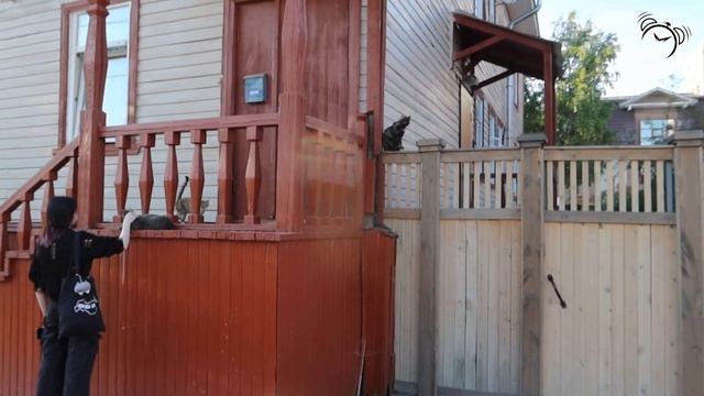 Архангельск. Проспект Чумбарова-Лучинского. смотреть онлайн