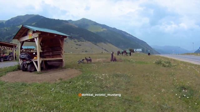 Теберда | В гостях на эко-ферме «ЗОЛОТОЙ МУСТАНГ» смотреть онлайн