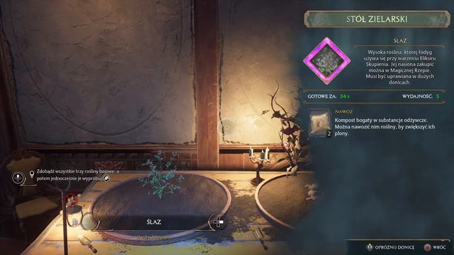 Zadanie Profesor Garlick 2. | Hogwarts Legacy смотреть онлайн