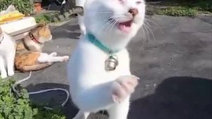 Будьте здоровые?