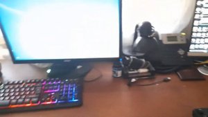 Обзор домашней серверной - установка Cisco Catalyst 2950, рассказ об организации локальной сети