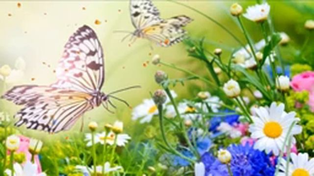 Звуки естественного дождя - для сна и расслабления смотреть онлайн