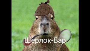 Топ "9" смешных капибар