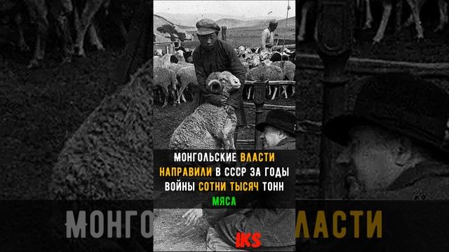 КАК Монголы помогали в ВОВ #shortshistory Краткая история #history #shorts