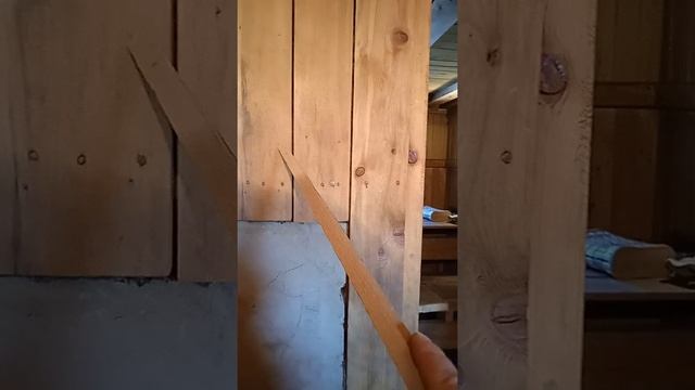 Мох в качестве утеплителя.