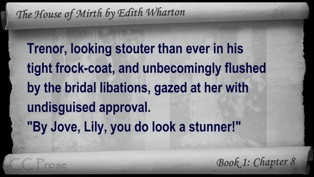 Book 1 - Chapter 08 - The House of Mirth by Edith Wharton смотреть онлайн