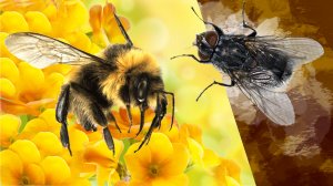 Жданов В. Г.  Притча про пчелу и муху. Солдат и воин