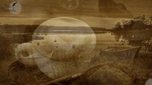 Я желаю тебе добра. Стихотворение Вероники Тушновой