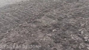 ФРЕЗЕРОВКА почвы тяжёлым мотоблоком!