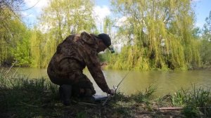 БЕШЕНЫЙ КЛЁВ КРУПНОГО КАРАСЯ на поплавочную удочку. Рыбалка весной. Поплавок крупным планом.