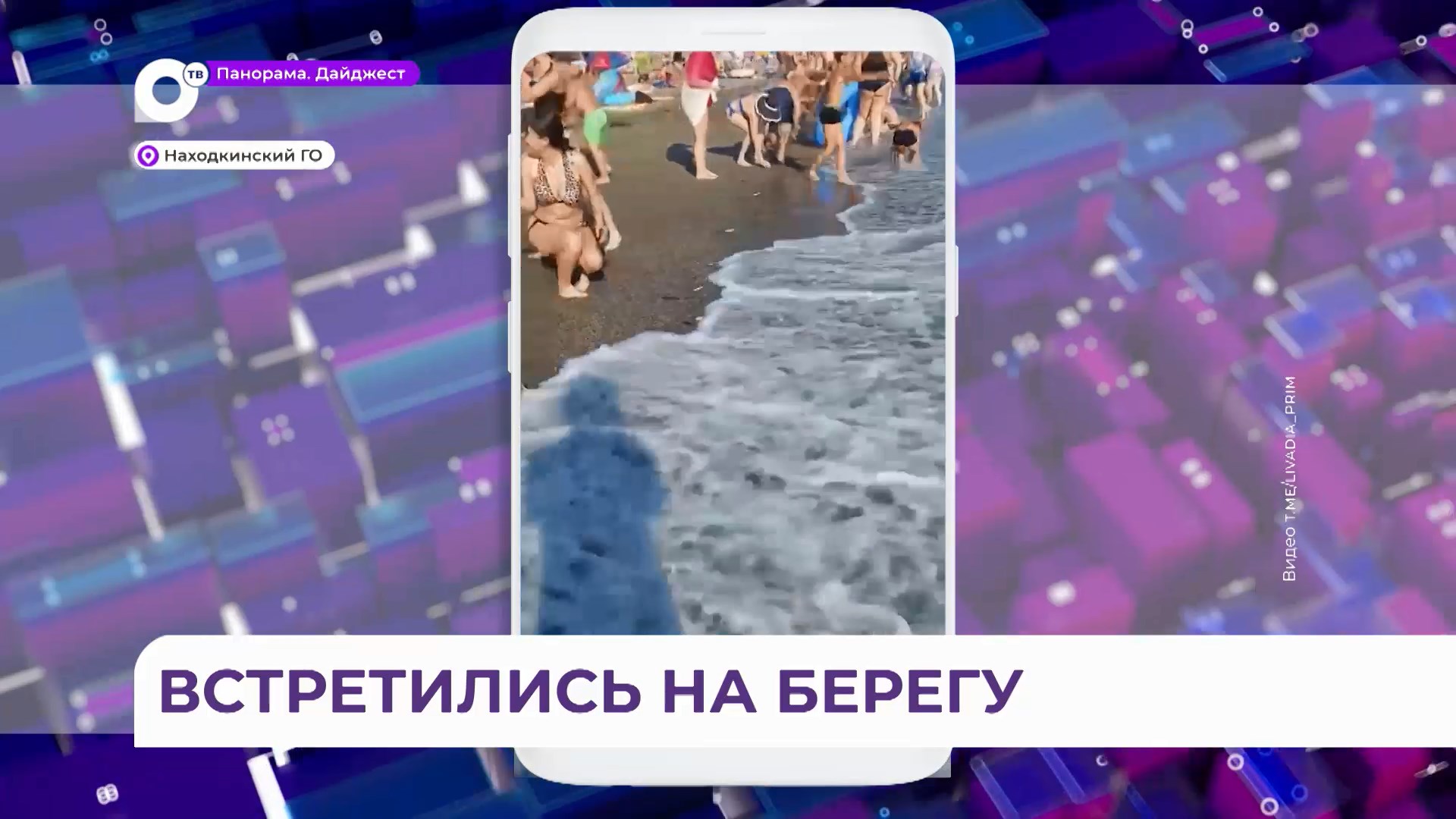 Предвестники тайфуна выбросились на берег в Приморье