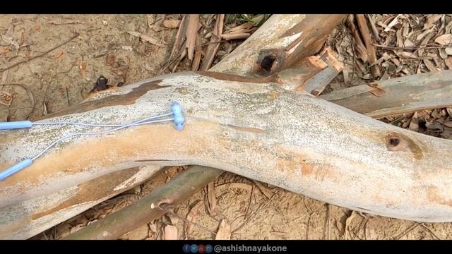 Realme Buds Wireless 2 Neo Long Term Review- Hindi смотреть онлайн