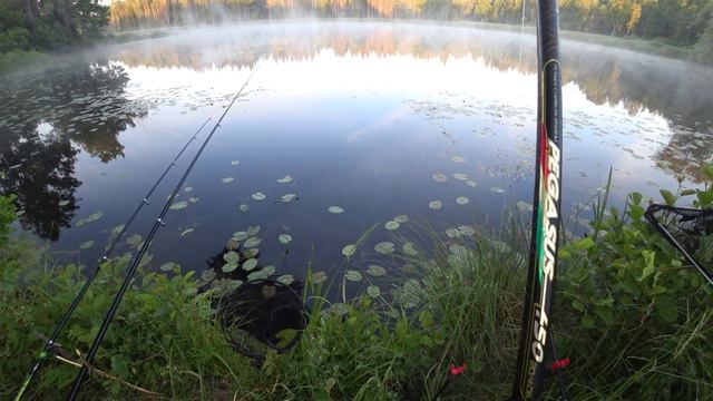 Ловля линя на поплавочную снасть. Рыбалка с ночёвкой. My fishing. Night fishing tench.