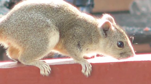 Central Myanmar: Mandalay a wonderful city  Myanmar Tours