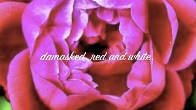 Sonnet 130 - Illuminated Manuscript смотреть онлайн