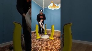 Сборка прыгунков Exersaucer Jungle Quest