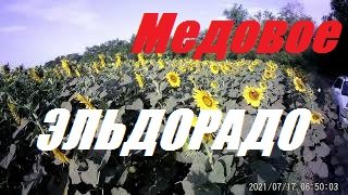 Вощины 900 рам - 50 семей.Пчелосемья саморегулируемый организм.Прицеп не выдерживает нагрузки мёда.