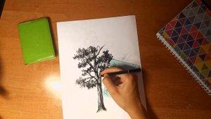 Урок рисования.Рисуем сосну.Уголь.