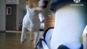 Правильное Реклама стиральной машины Samsung 2007 год