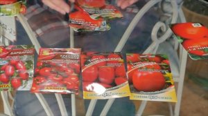 ТОМАТЫ ДЛЯ КОНСЕРВИРОВАНИЯ.