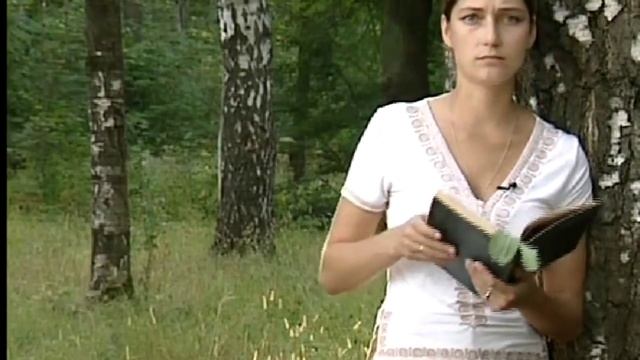 Одуванчик лечебный смотреть онлайн