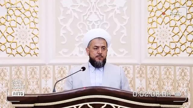 Кўкнорини йўталга шифоси катта дейишади. Шифо учун кўкнорини истеъмол қилса бўладими ?