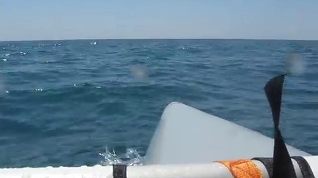 Тихая бухта. Катамаран. Полный вперед!